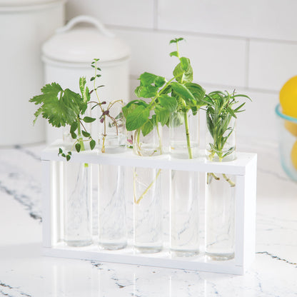 Mindware Home Grown Growing Kit