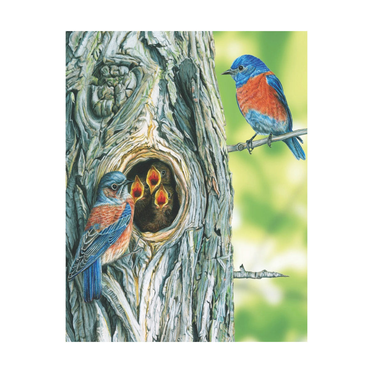 New York Puzzle Co Western Bluebird Mini 100 Piece Jigsaw Puzzle