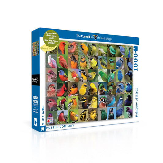 Rainbow of Birds 1000 pc Jigsaw Puzzle