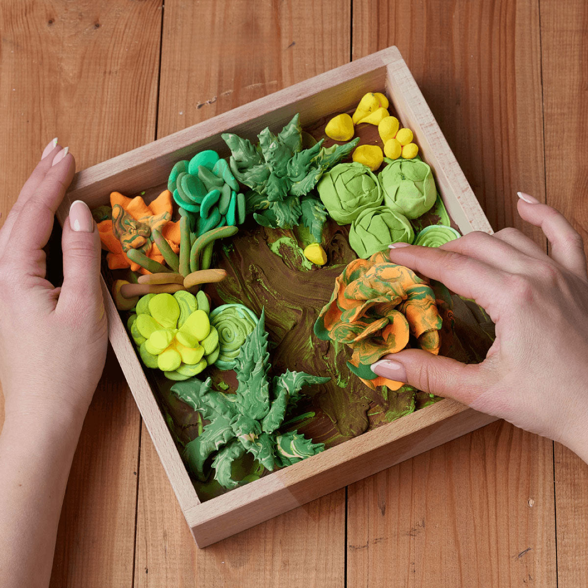 OKTO Sensory Art 3D Succulents - Energy