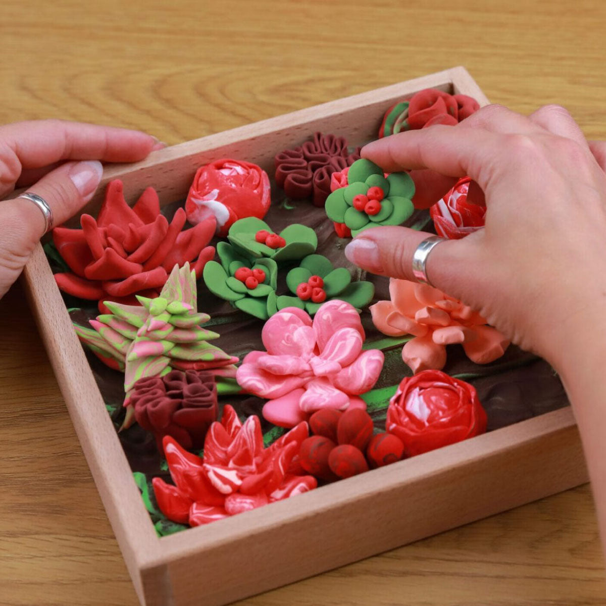 OKTO Sensory Art 3D Succulents - Passion