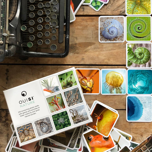 OuiSi Nature Card Game of Visual Connections