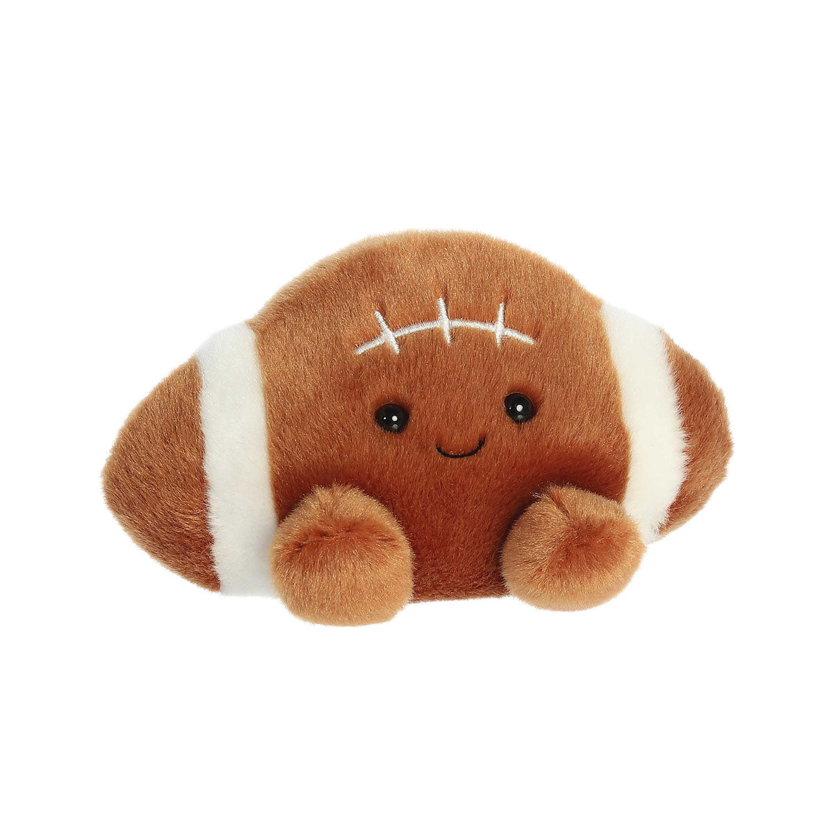 Palm Pals Tackle Football