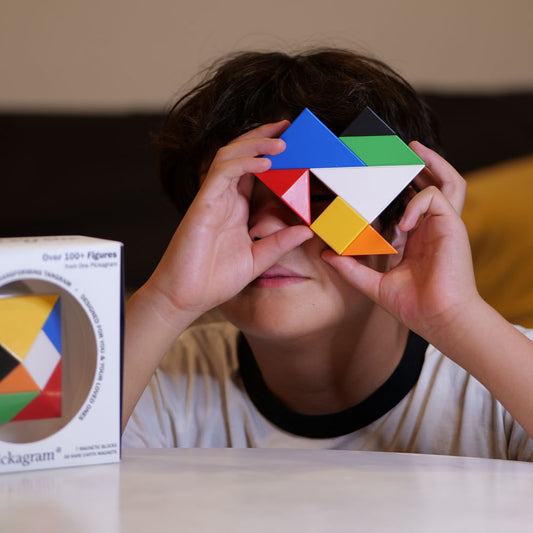 Pickagram Magnetic 3D Puzzle - Multicolor