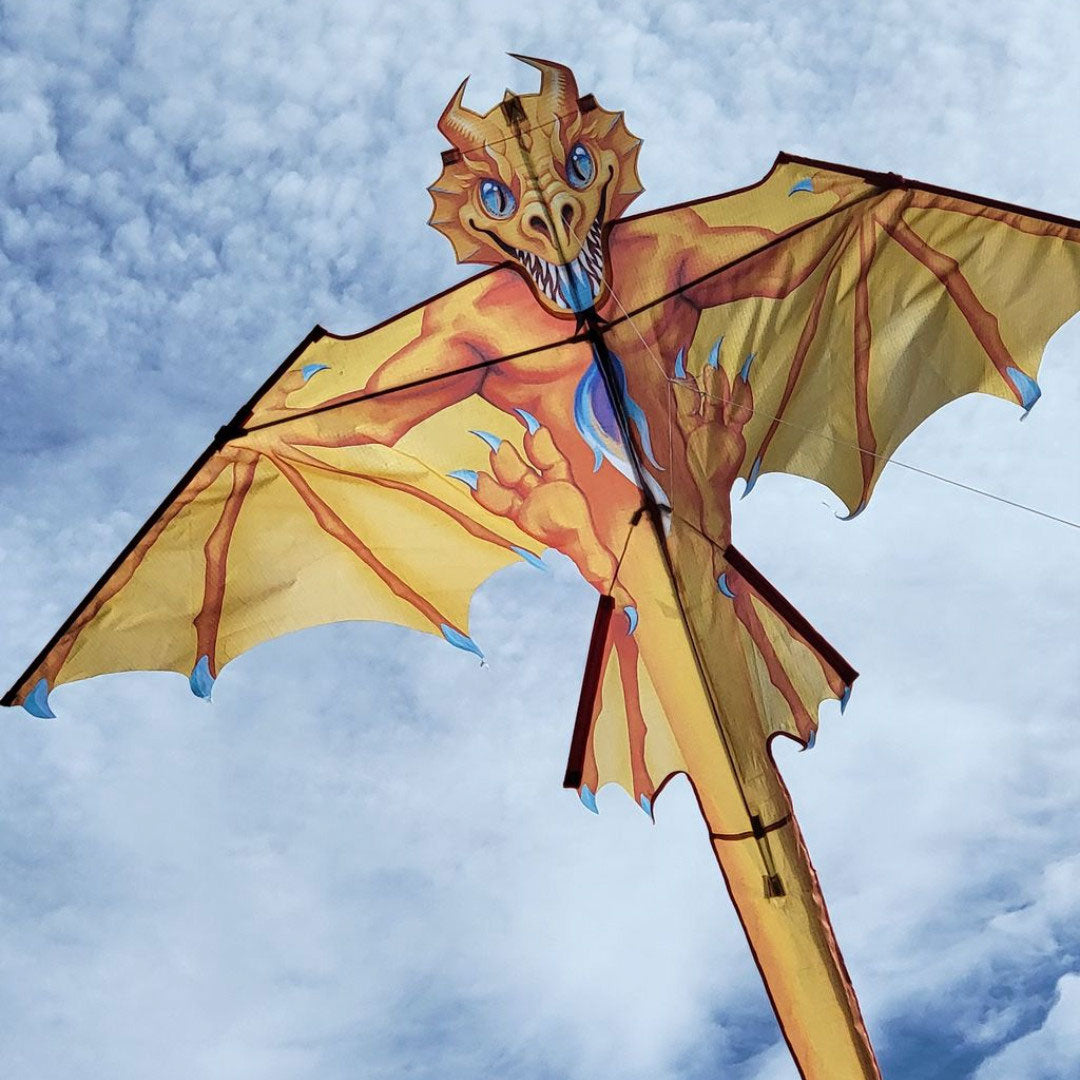Premier Kites Flamewing 2d Dragon Kite
