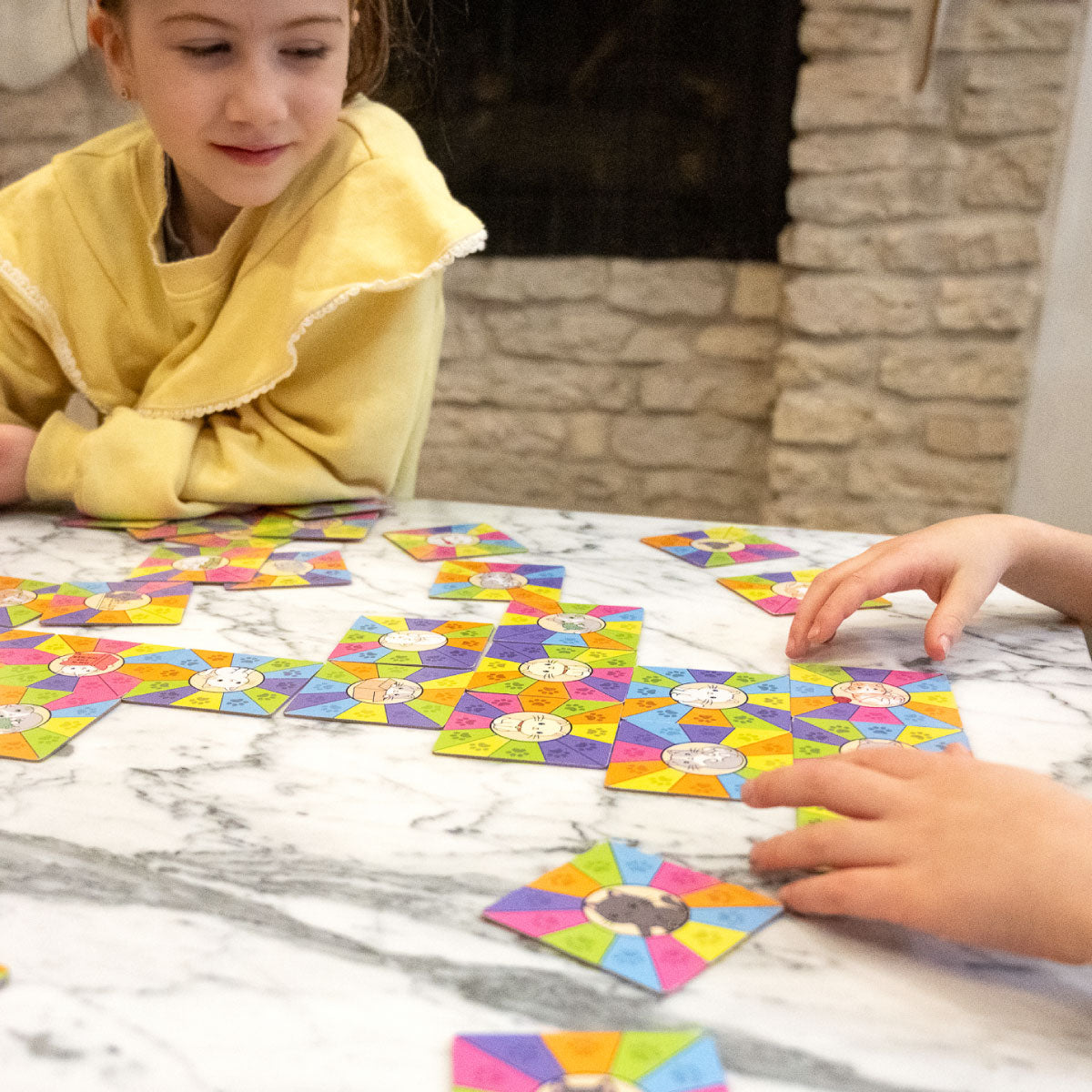 Project Genius Kitty Litter Color Matching Game
