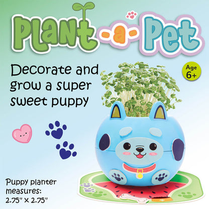 Plant-a-Pet Puppy chia garden by Creativity for Kids.