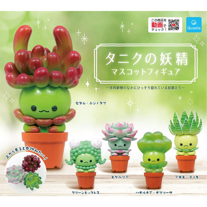 Qualia Succulent Friends Blind Box