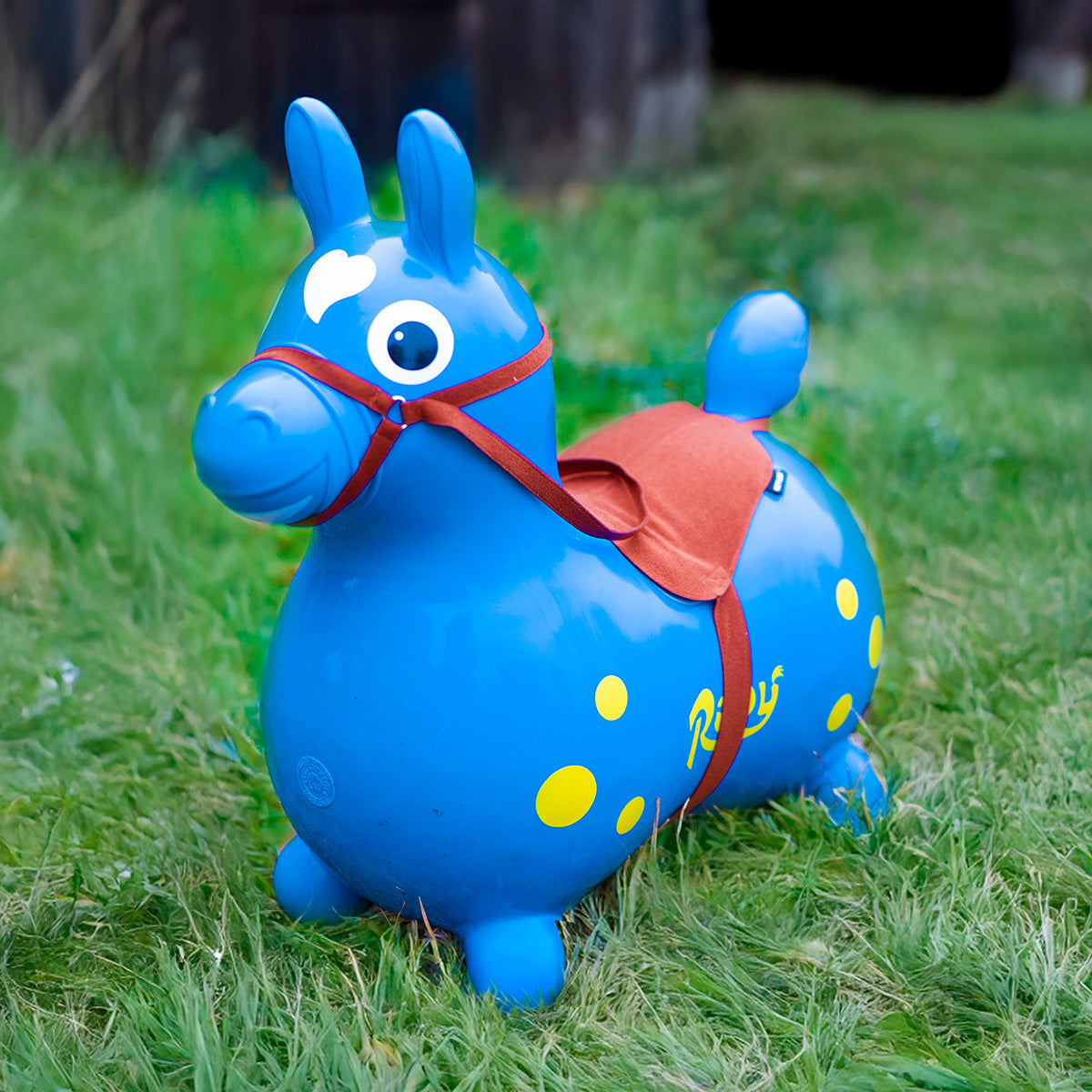 Rody horse wearing the Saddle & Bridle accessory.