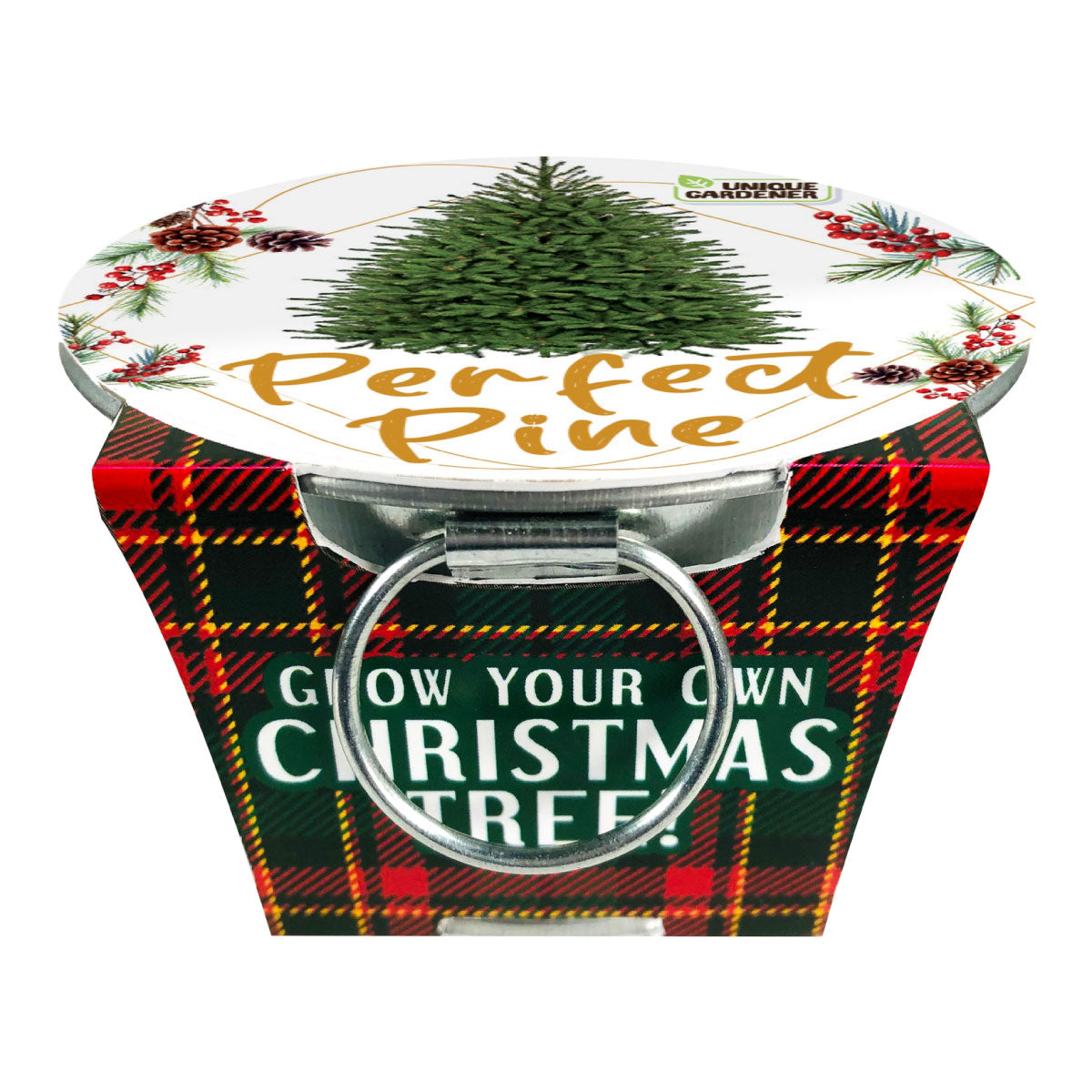 Perfect Pine Grow Your Own Christmas Tree