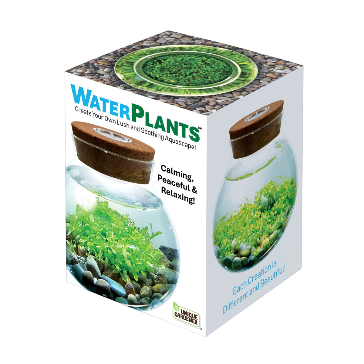 Unique Gardener Water Plants Aquascape