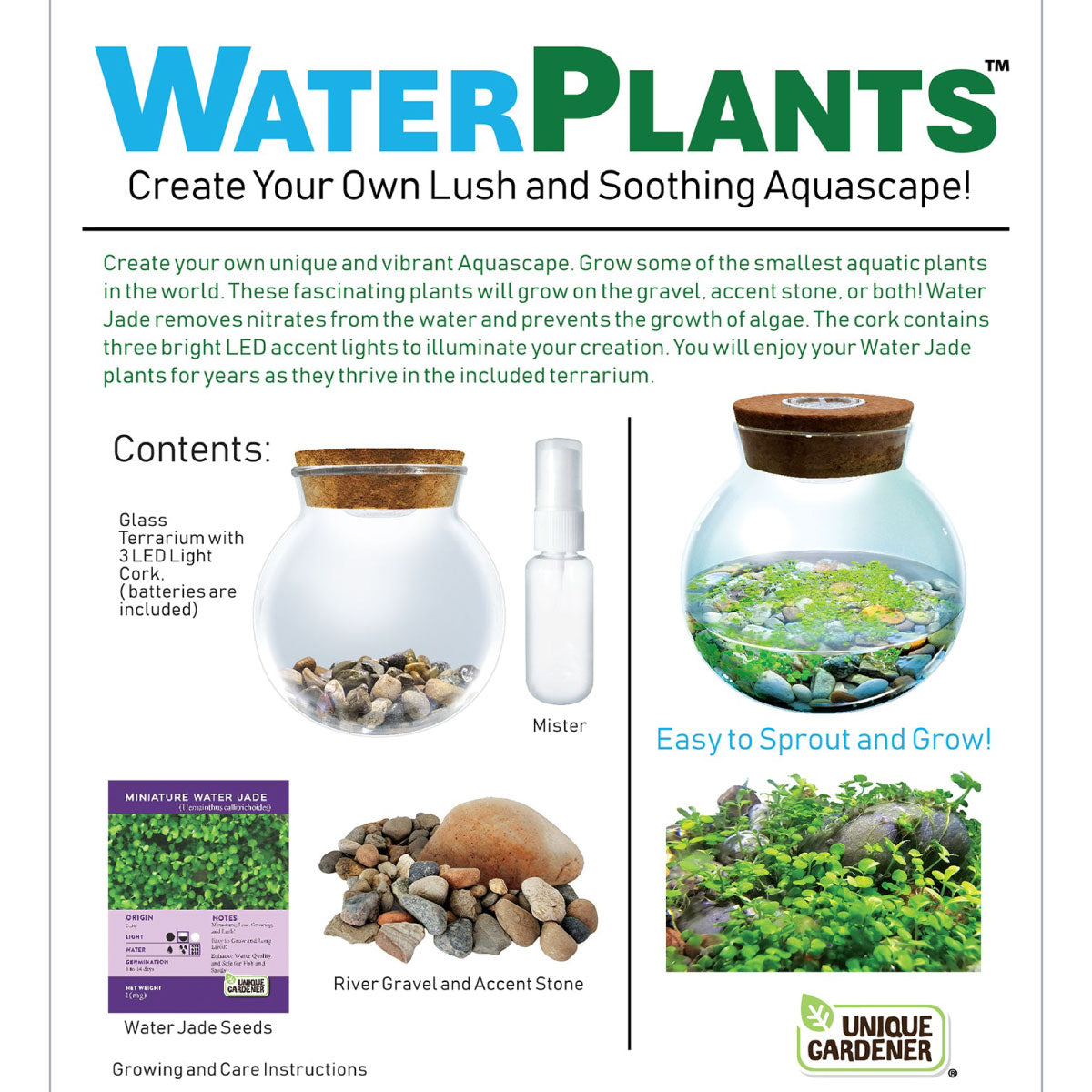 Unique Gardener Water Plants Aquascape