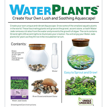 Unique Gardener Water Plants Aquascape
