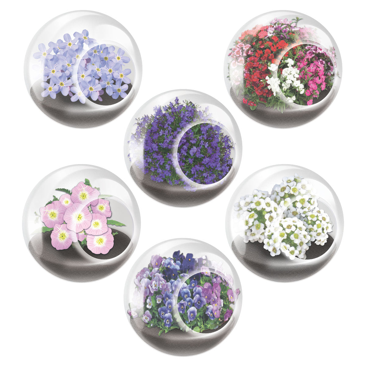 Unique Gardener Tiny Terrarium - Flowers