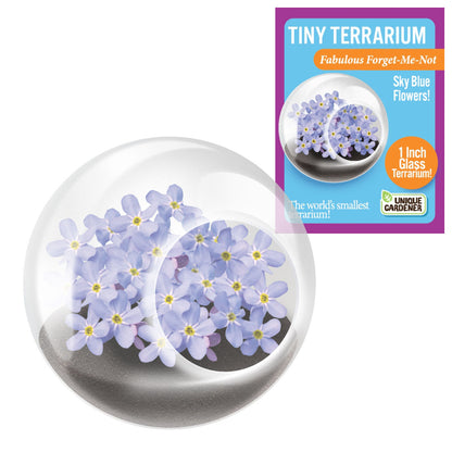 Unique Gardener Tiny Terrarium - Flowers Fabulous Forget-Me-Not