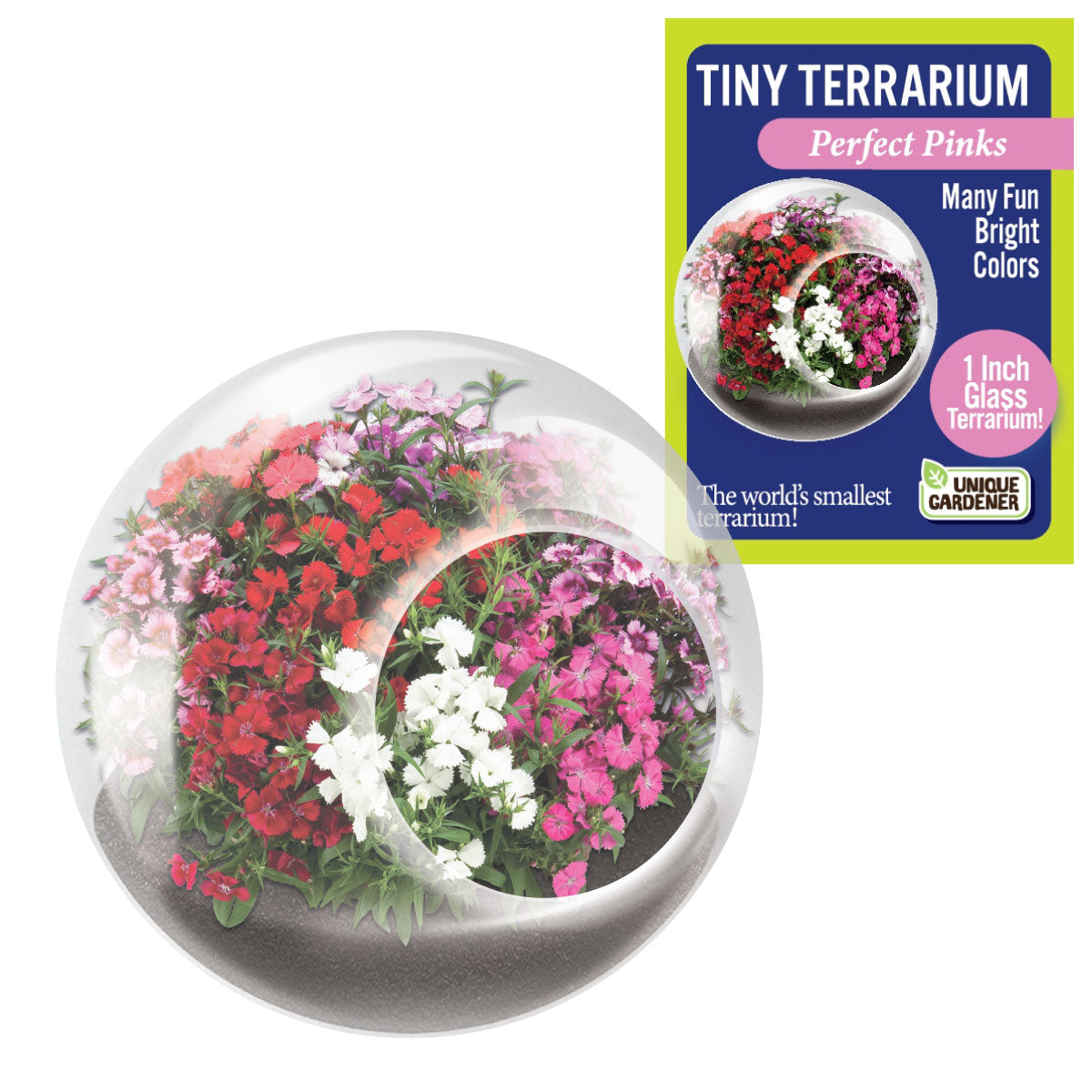 Unique Gardener Tiny Terrarium - Flowers Perfect Pinks