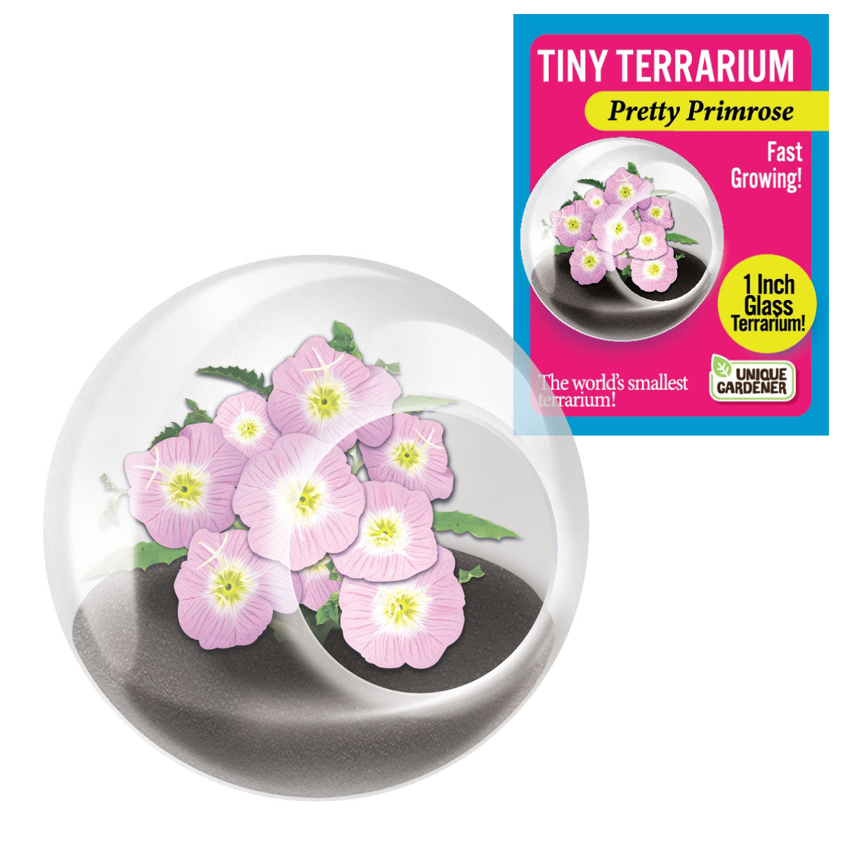 Unique Gardener Tiny Terrarium - Flowers Pretty Primrose