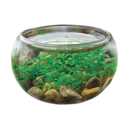 Unique Gardener Mini WaterPlants Terrarium