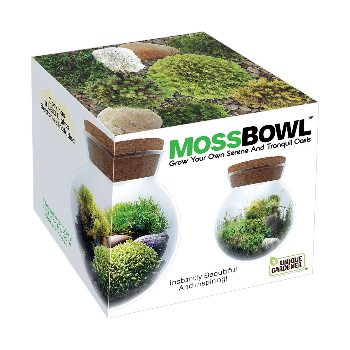 Unique Gardener Moss Bowl Glass Terrarium