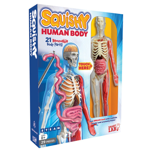 Smart Lab Squishy Human Body