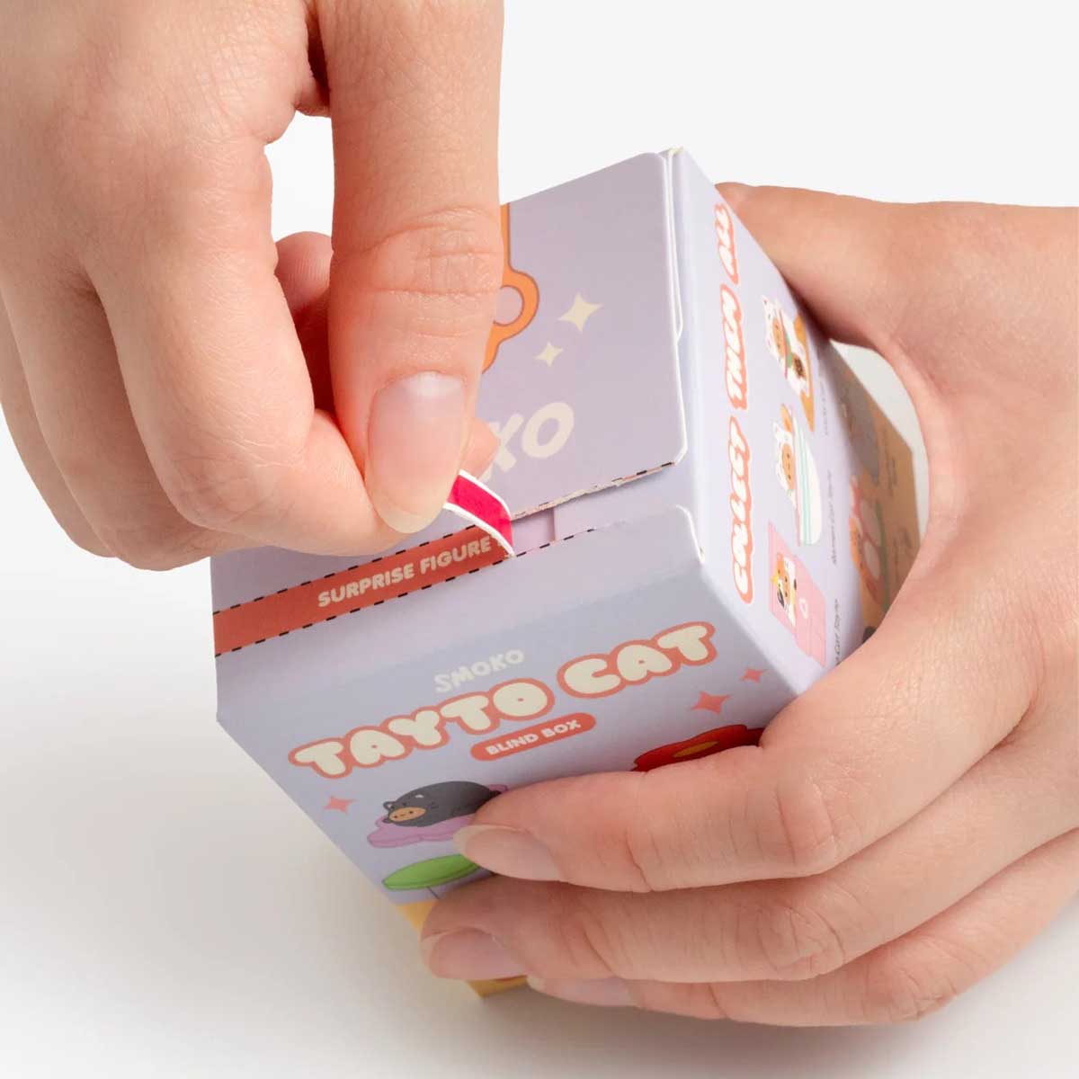 Smoko Tayto Potato Cats Blind Box Figure box opening