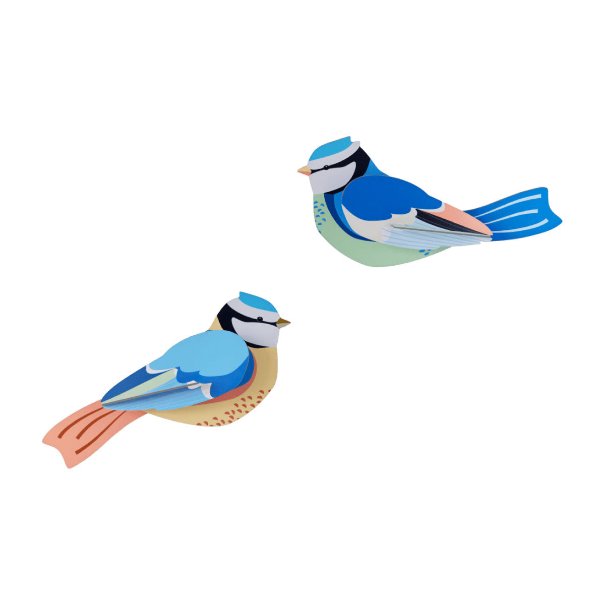 Studio Roof Garden Blue Tit Pair Wall Art