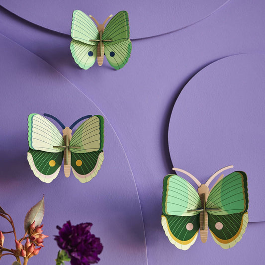 Studio Roof Fern Striped Butterflies Wall Art, set of 3