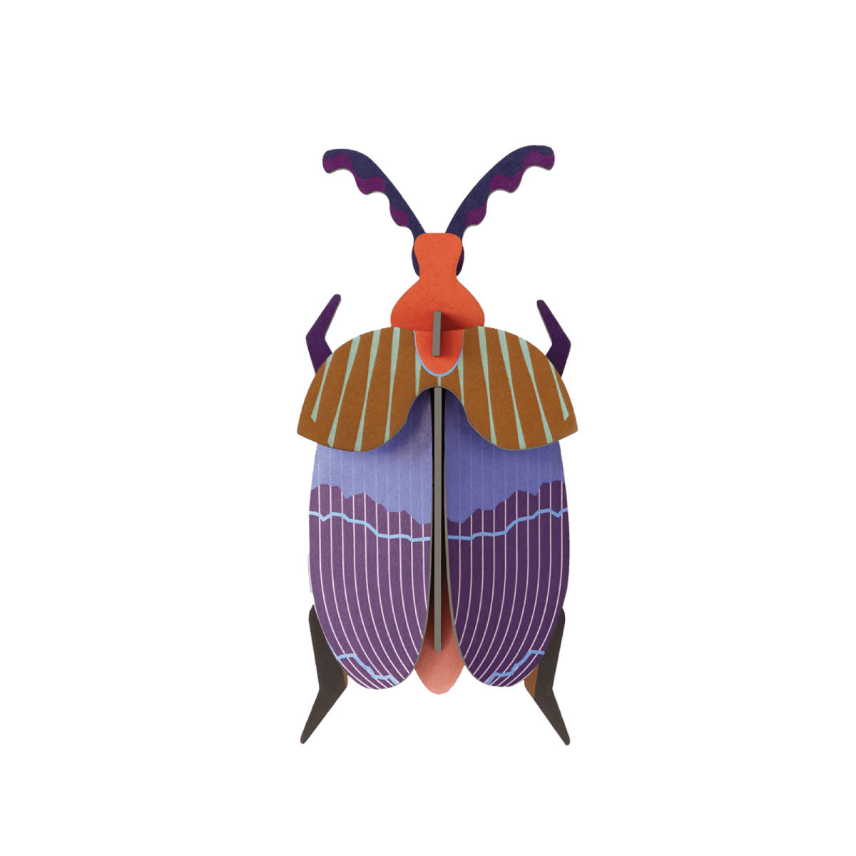 Studio Roof Queen Beetle Wall Art
