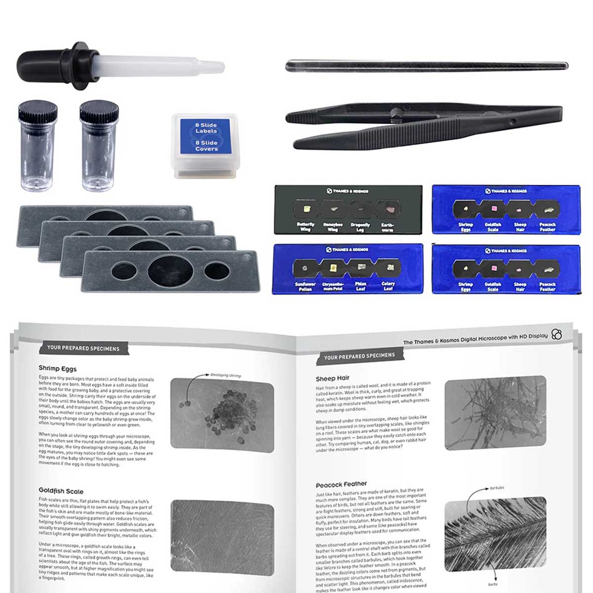 Thames and Kosmos Digital Microscope with HD Imaging