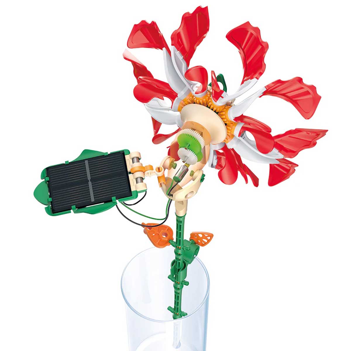 Completed red mechanical flower with solar panel cutout on white background. Thames and Kosmos SolarFlower Ruby Ripple