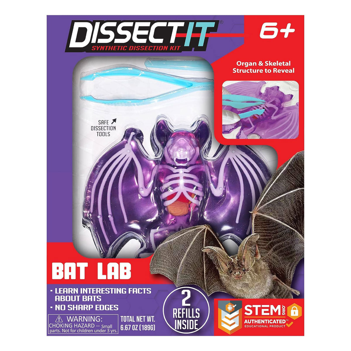 Dissect-It Bat STEM Kit from Top Secret Toys