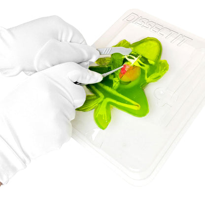 Dissect-It Frog STEM Kit from Top Secret Toys