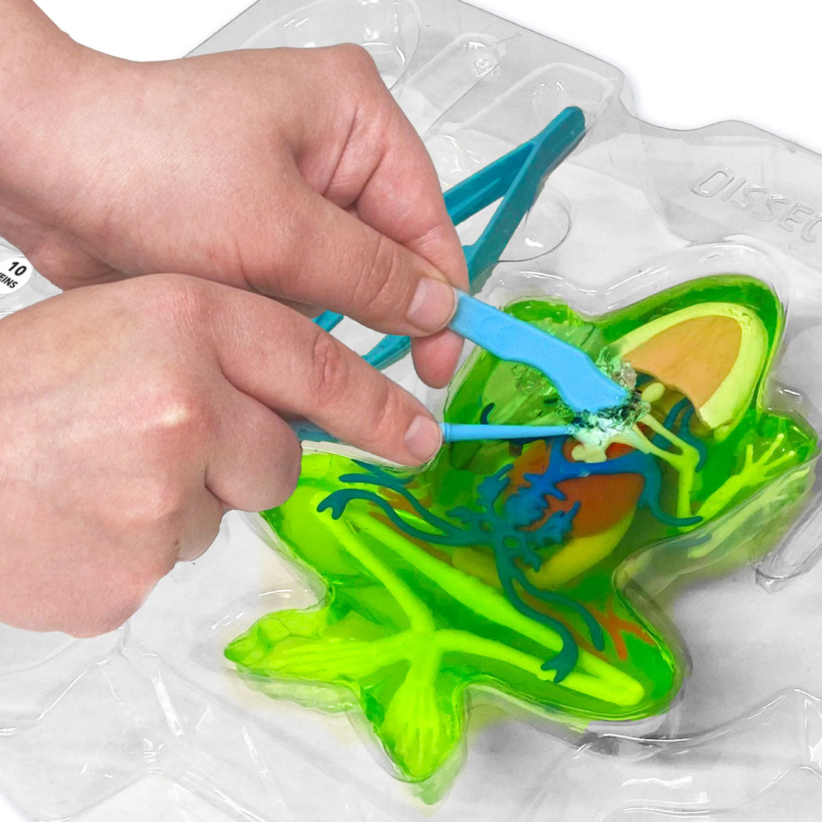 Dissect-It Frog Super Lab STEM Kit from Top Secret Toys