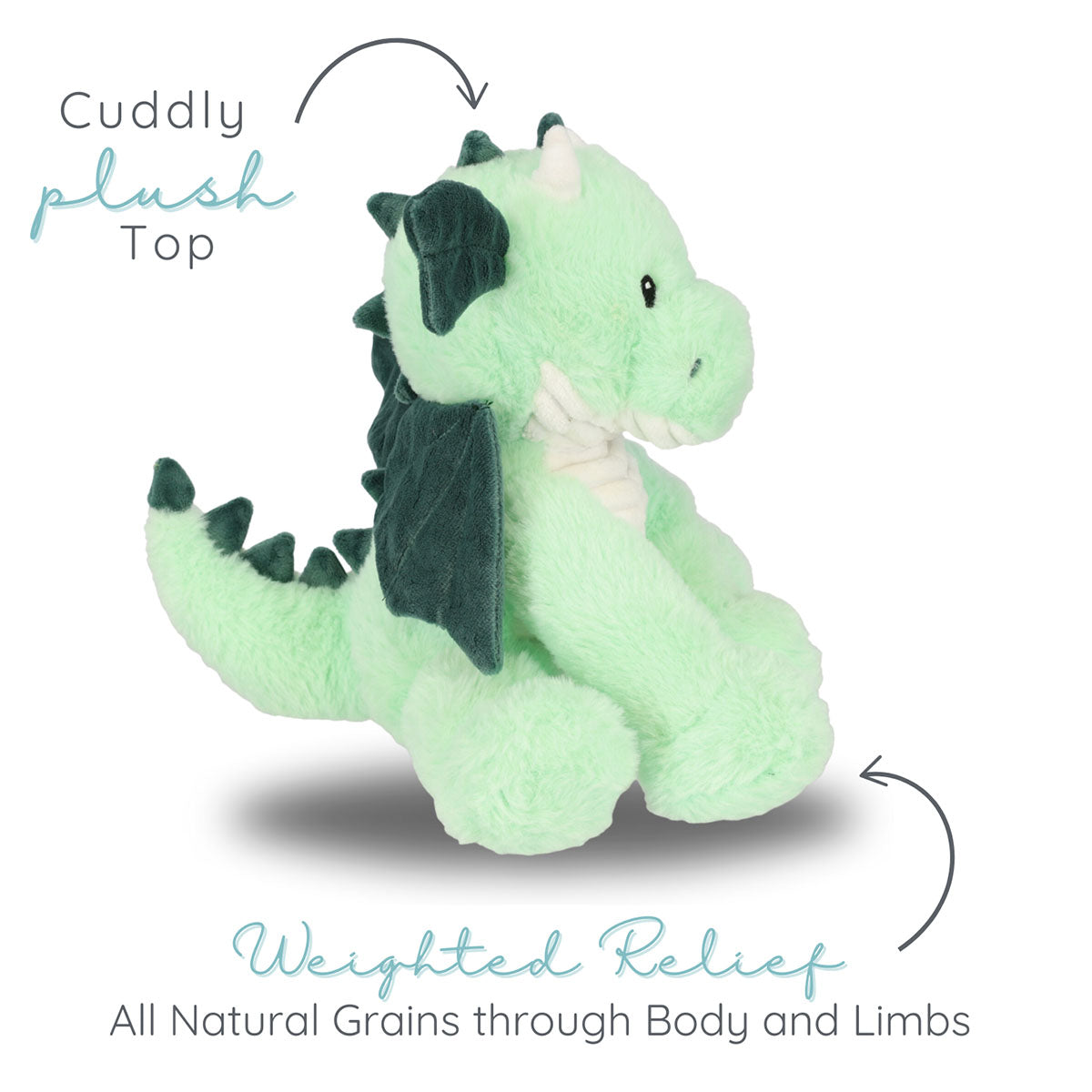 Daniel Dragon Warm Pals