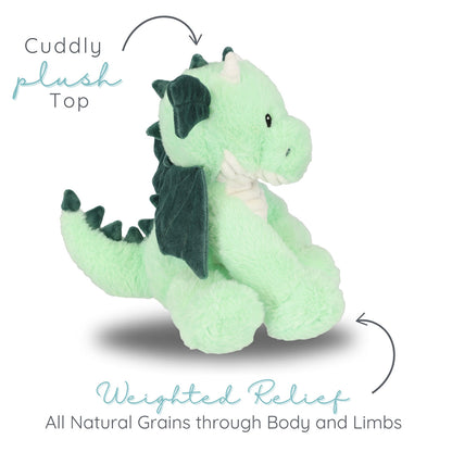 Daniel Dragon Warm Pals