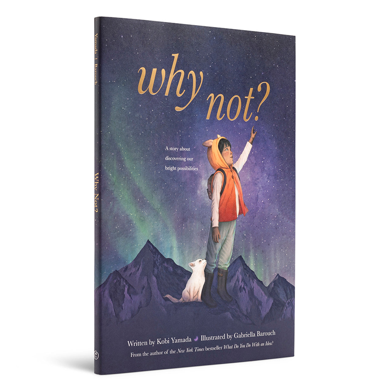 Why Not? A story about discovering our bright possibilities. Hardcover book written by Kobi Yamada and illustrated by Gabriella Barouch. 