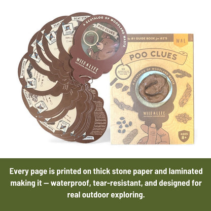 Wild Life Outdoor Adventures Poo Clues Scat Identification Guide