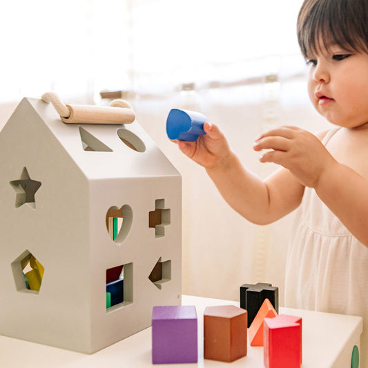Wonder & Wise Hip Shape Wood Sorter