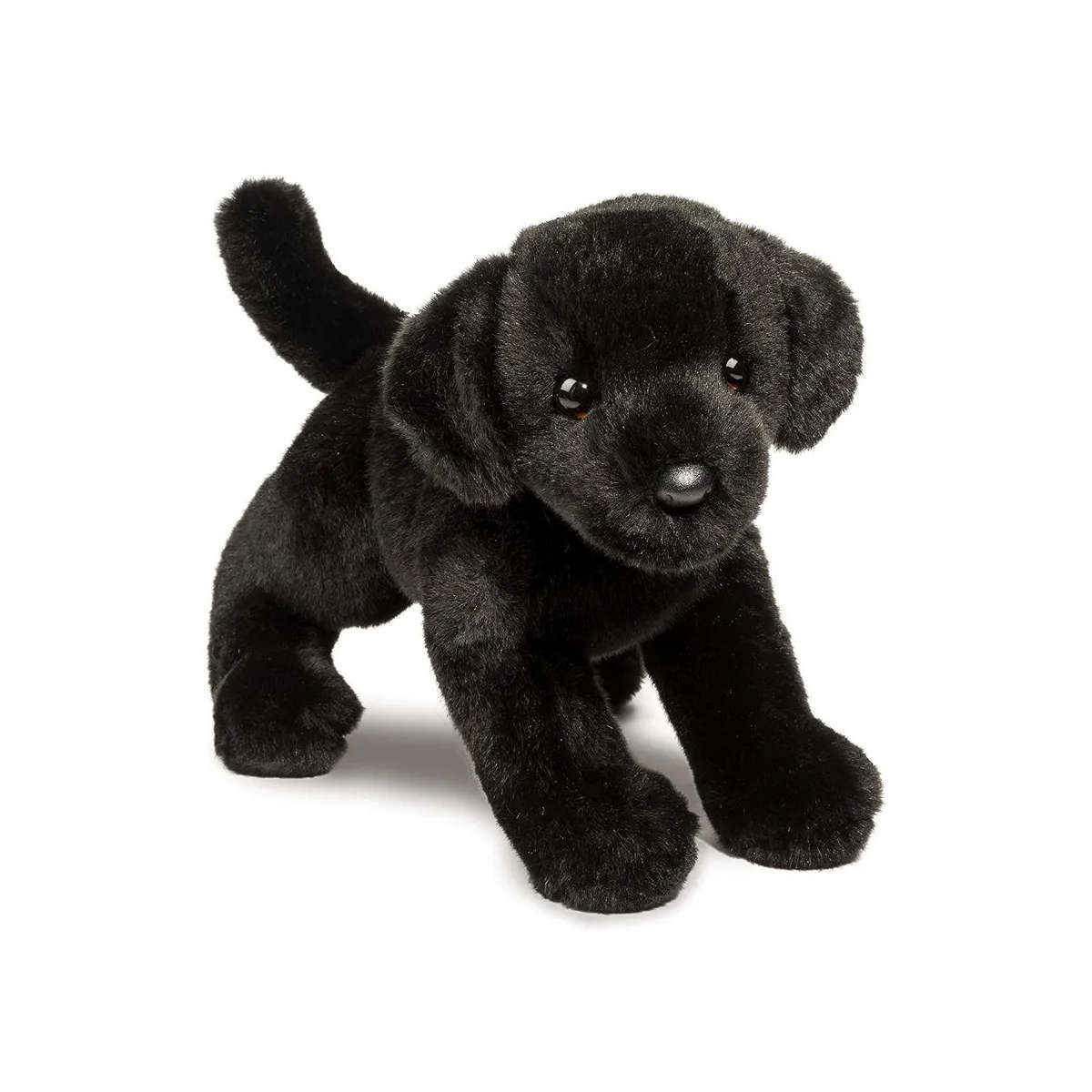 Douglas Brewster the Black Lab