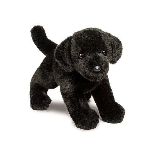 Douglas Brewster the Black Lab