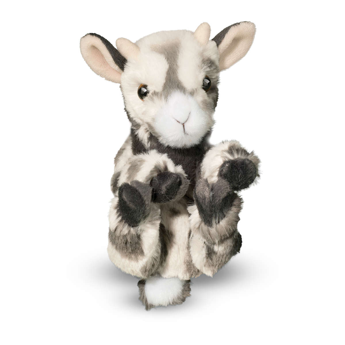 Douglas Lil' Baby Goat