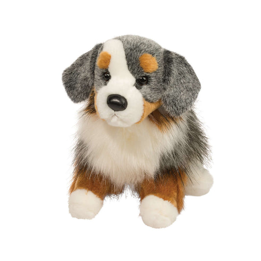 Douglas Sinclair Australian Shepherd