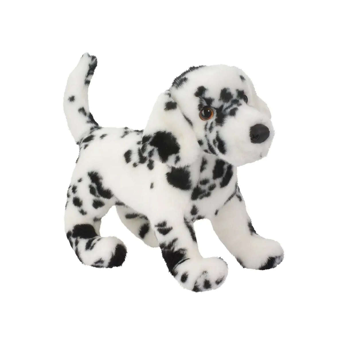 Douglas Winston the Dalmatian