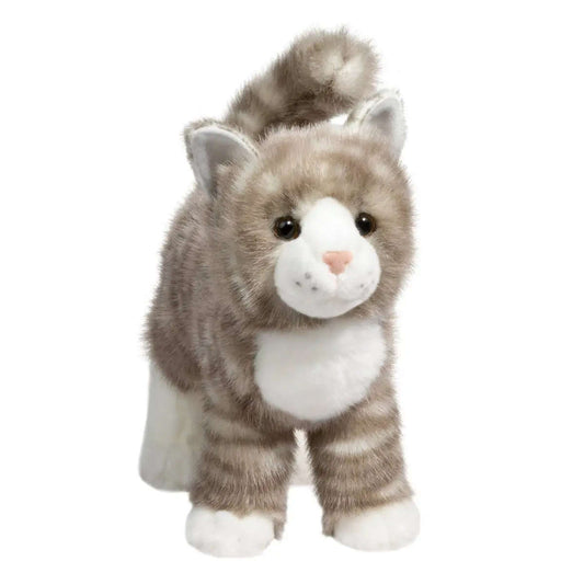 Douglas Zippy the Gray Tabby Cat