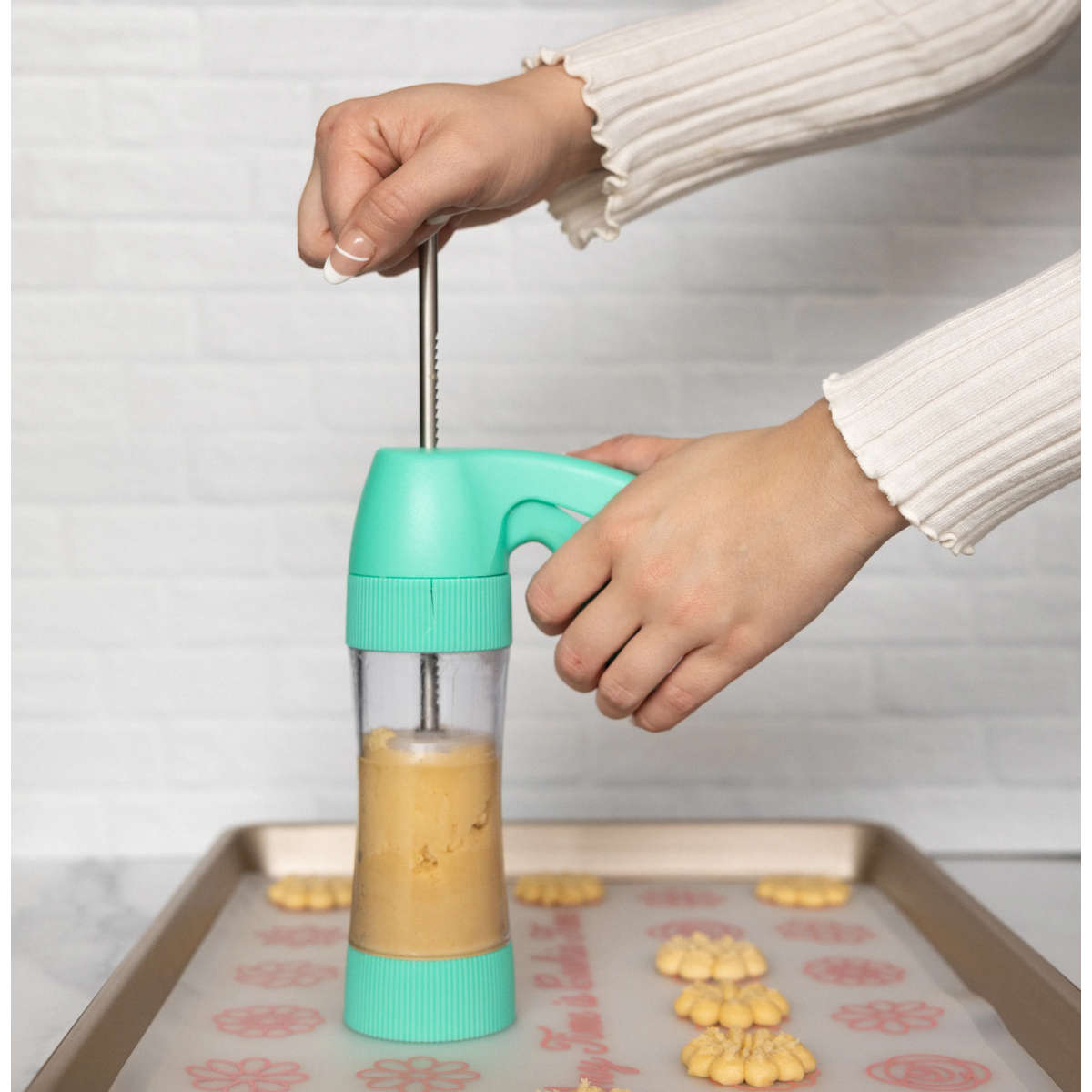 Handstand Kitchen Spring Fling Springtime Fun Cookie Press & Frosting Set