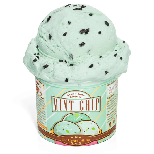 Kawaii Slime Mint Chip Scented Ice Cream Pint Slime