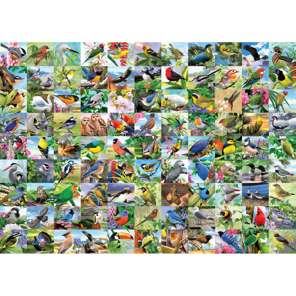 Ravensburger 99 Delightful Birds 300 large piece puzzle