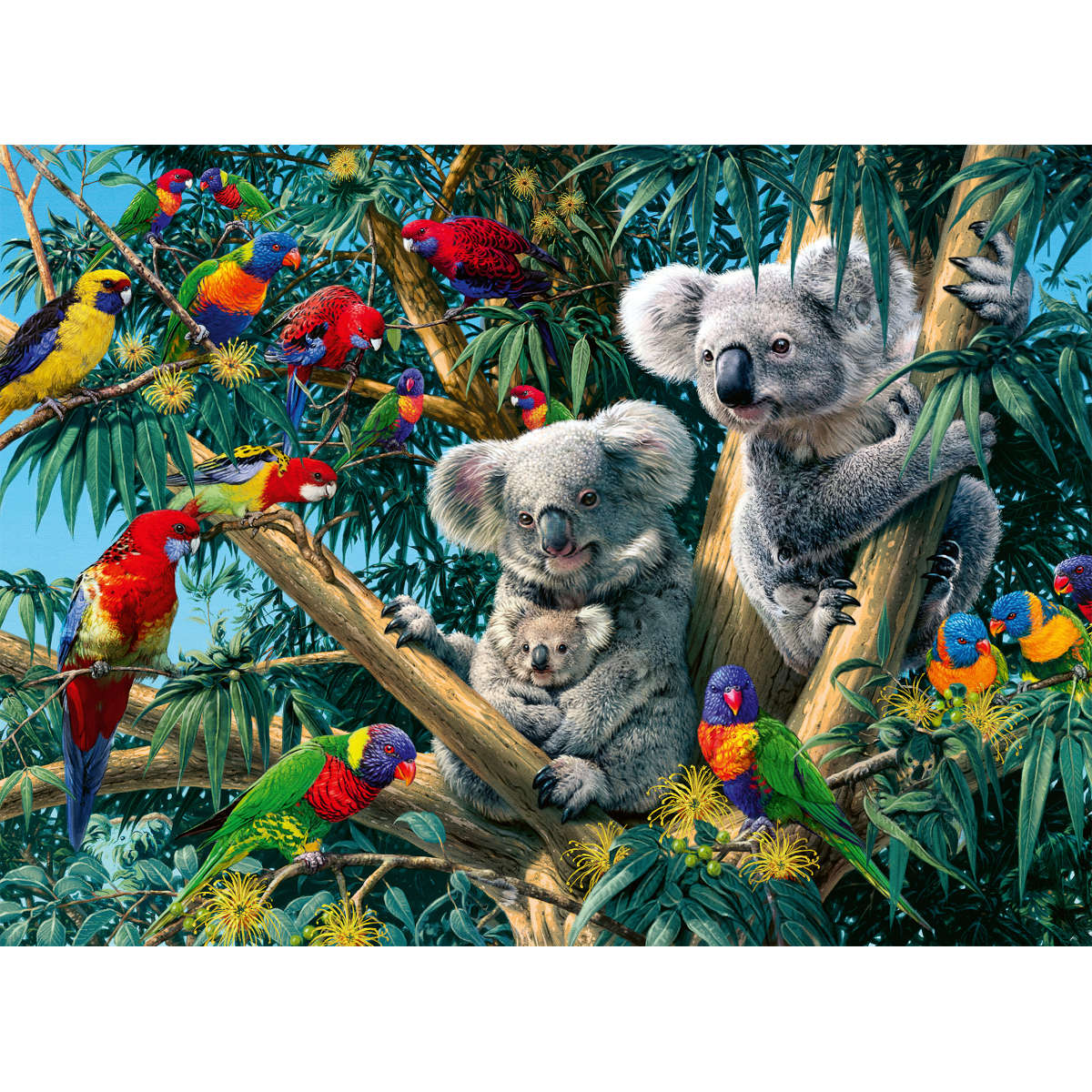Ravensburger Koalas In A Tree 500 pc Puzzle