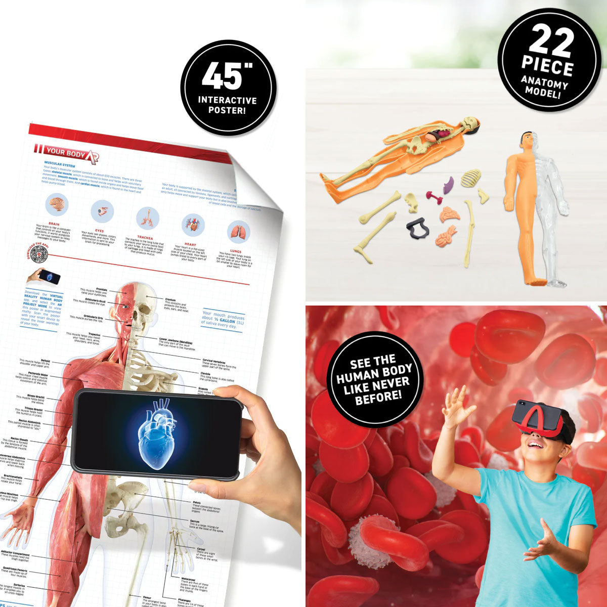 Abacus Brands VR Human Body Book & Goggle Deluxe Gift Set