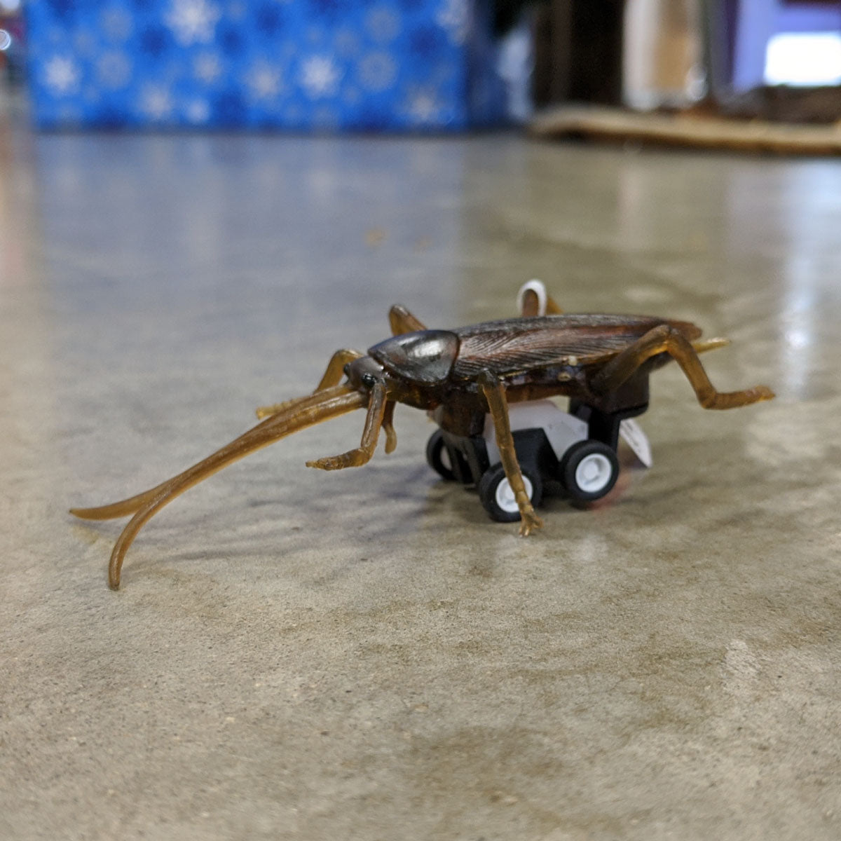 Racing Roach from Archie McPhee